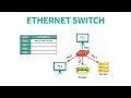 IT Support Tutorial - Ethernet Switch