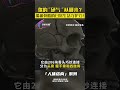 你的硬气从哪来？揭秘骨骼的日常生活守护力！ 健康 3d 人体 科普 3danatomy 解剖 热门 骨骼