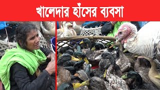 খালেদার হাঁসের ব্যবসা ২৬ বছরের | Duck Market | Meradia Haat | Mokamer Khobor