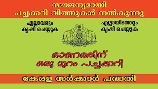 ഓണത്തിന് ഒരു മുറം പച്ചക്കറി ||Onathinu oru muram pachakari