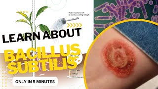 bacillus microbiology lecture ||bacillus subtilis ||Easy Microbiology