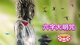 BEST RELAXING BUDDHA MUSIC FOR BUDDHIST | Namo Amitoufo - Namo Amitabha | Namo Amitoufo