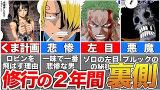 【ONE PIECE】くまが計画した麦わらの一味進化の軌跡！麦わらの一味修行の2年間を徹底解説【ゆっくり解説】