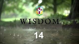Wisdom 14 | English Audio Bible | AFCM | NRSV Catholic Edition