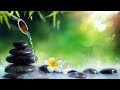 Light music for sleep - background music - sleep music - nature music - forest music