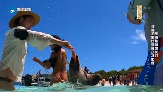 Travel Bahamas：张雨绮爱上喂猪？大乔肩头骑小伍太酸人《各位游客请注意》EP10 花絮 20191012 [浙江卫视官方HD]