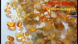 Ep43. บุษราคัมสีน้ำแตง(Yellow Sapphire) จากบางกะจะ จันทบุรี มีสีลักษณะอย่างไร พลอยคนเกิดวันจันทร์