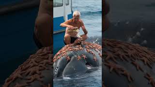 An Old Sailor Removes Thousands of Starfish From The Body of a 70-Ton Whale #sealife