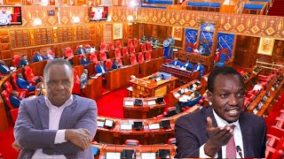 WATCH DRAMA IN SENATE AS SENATORS DISCUSS ISSUES THAT KENYANS ARE UNDERGOING!!