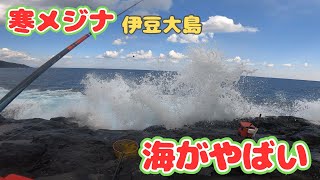 寒メジナを求めて伊豆大島へ行った。海がやばかったけどさすが離島と言える満足な釣果！