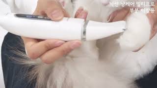 장모 고양이 위생 미용 후기 feat.닉센 냥케어 스마트이온 멀티프로