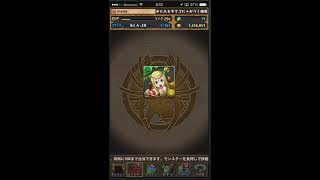 無課金パズドラ メイメイ スキル上げ 歓喜編