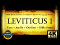 Bible Book #03 - Leviticus Chapter 1 - The Holy Bible KJV Read Along Audio/Video/Text