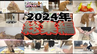 【2024年総集編】今年も大変お世話になりました！来年もよろしくお願いします！