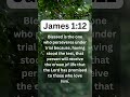 📖🙌 Daily Bible Verses--- James 1:12 #shorts #bibleverse #god #pray #trustgod  #jesus #godlovesyou