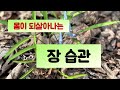 몸이 되살아나는 장 습관 김남규 지음 매일경제 신문사