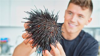 Eating Live Sea Urchin