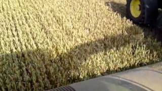 Whole crop with zurn 460.wmv