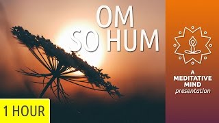 Om So Hum | Mantra Meditation