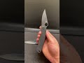 Spyderco Paramilitary 2 vs Ganzo G729 Pocket Knives