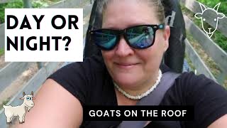 GOATS ON THE ROOF MOUNTAIN COASTER 2021! BETTER AT DAY OR NIGHT? PIGEON FORGE TENESSEE