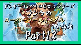 【ねねし実況】DKトロピカルフリーズ実況プレイpart12【TA講座】