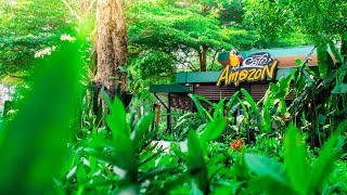 Exploring the Garden Structure of Cafe Amazon, Koh Norea | Phnom Penh 🌿☕