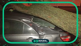 Storms down trees, damage cars in Philadelphia