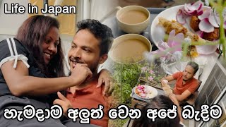 මෙහෙම දවසුත් ජීවිතේට තියෙන්න ඕන ♥️ | ඔයාලා දෙන්නත් මෙහෙමද | life in japan #shanusdiary #japansinhala