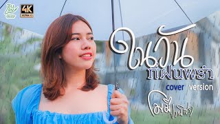 ในวันที่ฝนพรำ - โมมิ ปาณิสรา【COVER VERSION】original : Liltan (4K)