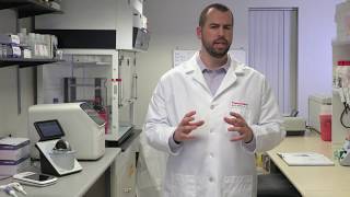 qPCR Template Qualification using NanoDrop One and Qubit 4 || Thermo Scientific