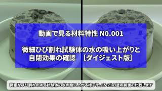 微細ひび割れ試験体の水の吸い上がりと自閉効果の確認【ダイジェスト版】