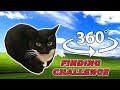 Maxwell The Cat 360° - FIND MAXWELL| VR/360 Video 4K 🔍 🐈