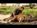 man saves a drowning lion what happens next is unbelievable