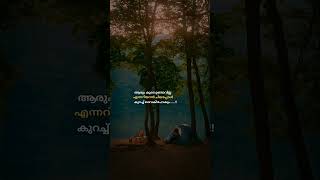 ആരും കൂടെ ഇല്ലന്ന് അറിയാൻ കുറച്ചു വൈകും #motivation #malayalam #quotes