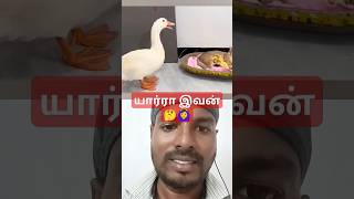 🤔🤗யார்ரா இவன் புதுசா இருக்கான் 🤔🙆‍♀️🙆‍♀️ #funny #comedy #funnyshorts #fun #funnyvideo #funnyvideos