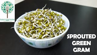how to sprout mung beans in one day