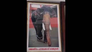 മണ്മറഞ്ഞ ഗജവീരന്മാർ💐#elephant #million #1m #aanakaryam #pets #e4elephant #subscribe #vlog #love