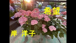 希望/岸洋子　Cover♪あいさい・・♪