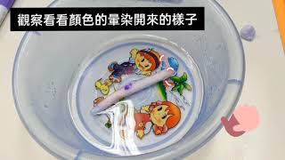 【停課不停學】動手玩科學---毛細現象