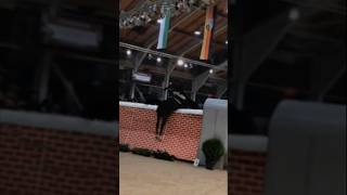 Too high is too high... 😥 #horses #jump #edit