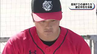 Ｆドッグス選手が確定申告体験｜02月13日 高知県のニュース