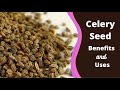 Zyrex Celery Seed Tablet / Powder फायदा और उपयोग | सेवन विधि | ऑर्डर करे : +91 8779921180