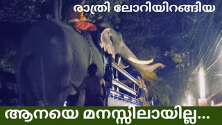 ആളാകെ മാറി...ലോറിയിറങ്ങുന്ന കൊമ്പനെ മനസ്സിലായോ..??