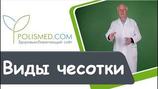 Виды чесотки: типичная, чистоплотных, осложненная, норвежская, псевдочесотка, без ходов