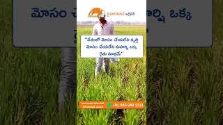 Farmers motivational Quotes in telugu | Whatsapp Status 2024 | @JaiHoKisan