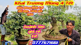 #Khai Trương Mùng 4 Tết #0777671661, Báo Giá Lô Siêu Bông Bình Lợi, Siêu Bông Sài Gòn, Thọ Hương