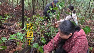 帶孩子上山體驗找野生菌子，收穫了好幾種菌子 ，開心壞了