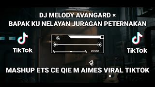 DJ AVANGARD × BAPAK KU NELAYAN JURAGAN PETERNAKAN || MASHUP MELODY ETS CE QIE M AIMES VIRAL TIKTOK