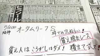 阪神10R オータムリーフステークス 貧乏人からの脱出馬券作戦28戦❗️ころがし作戦は危険だぞ！